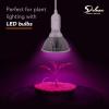 imageSimple Deluxe 20 Feet Extension Hanging Lantern Pendant Light Lamp Cord Cable E26 Socket no Bulb Included OnOff Switch 2 Pack WhiteWhite2 Pack
