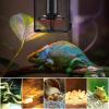 imageSimple Deluxe 2Pack Reptile Heater Guard Heat Protector AntiScald Cover Mesh Cage Heating Lamp Lampshade Ceramic Light Bulb Enclosure for Terrarium Chameleon Lizards Snakes Heat Guard 55For Terrarium Chameleon Lizards Snakes