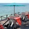 imageSimple Deluxe 9 Patio Umbrella Replacement Canopy Only Outdoor Table Market Yard Umbrella Replacement Top Cover with 8 Ribs Red2PTurquoise