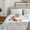 imageSimple Deluxe Queen Size Sheet Set 4 Piece Hotel Luxury Bed Sheets Wrinkle Free  Deep Pockets  Breathable ampamp Cooling Sheet Easy Care Queen GreyWhite